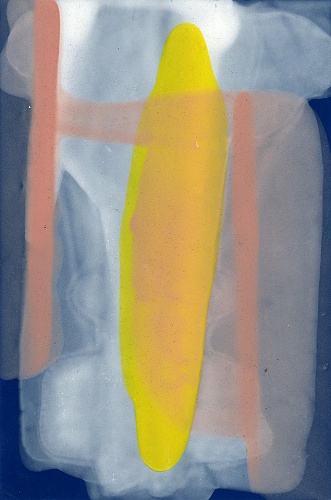 <i>Coloraid #05</i>, 1998-99