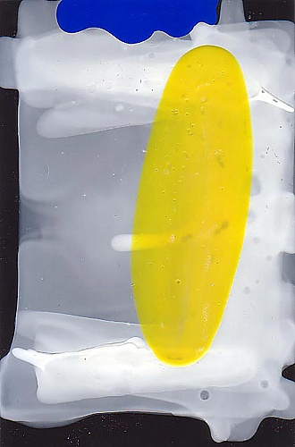 <i>Coloraid #12</i>, 1998-99