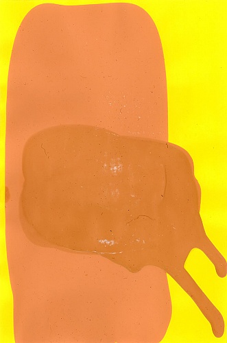 <i>Coloraid #22</i>, 1998-99