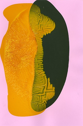 <i>Coloraid #39</i>, 1998-99